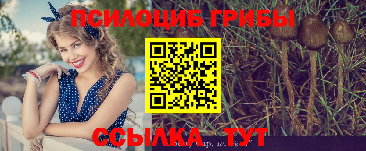 Октябрьский  Галлюциногенные грибы Magic Shrooms  Вход с VPN 